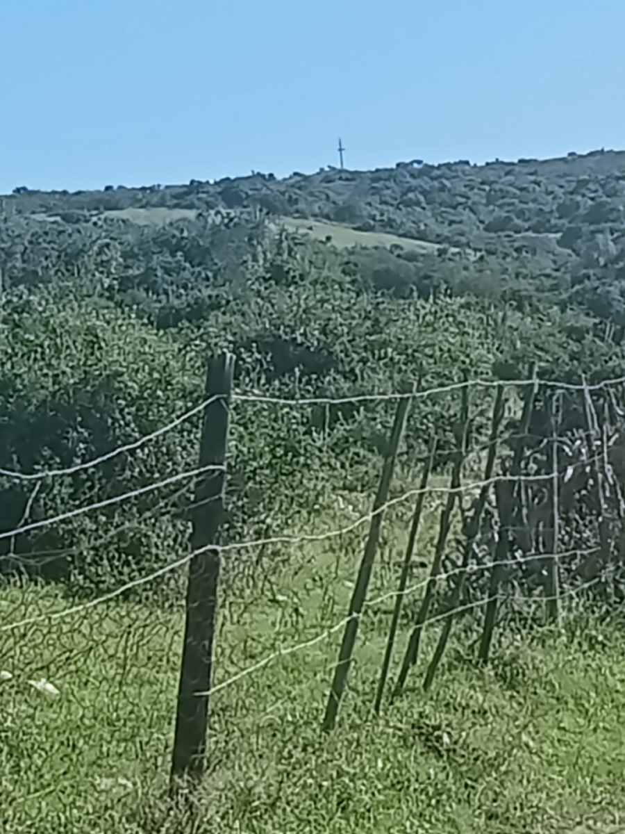 0 Bedroom Property for Sale in Alexander Park Industrial Eastern Cape